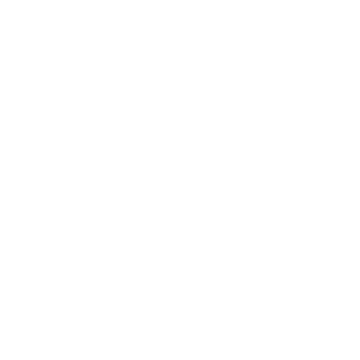 icone coeur