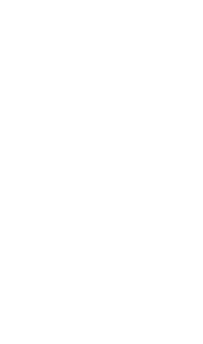 légumes décoration